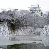 The moat of Nagoya Castle contains species rarely found in an urban environment. They are now threatened by a pair of giant alligator gars that likely outgrew their aquarium. Giant invasive fish lurks in Nagoya Castle moat