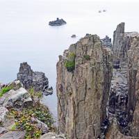 The steep Tojinbo cliffs in Sakai, Fukui Prefecture, are one of Japan's most notorious suicide spots, but recently the area has become popular with Pokemon Go players. 'Pokemon Go' players deter suicides in Fukui