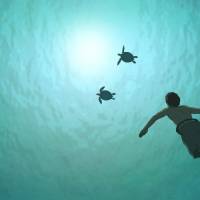 'The Red Turtle': Studio Ghibli takes an intriguing turn