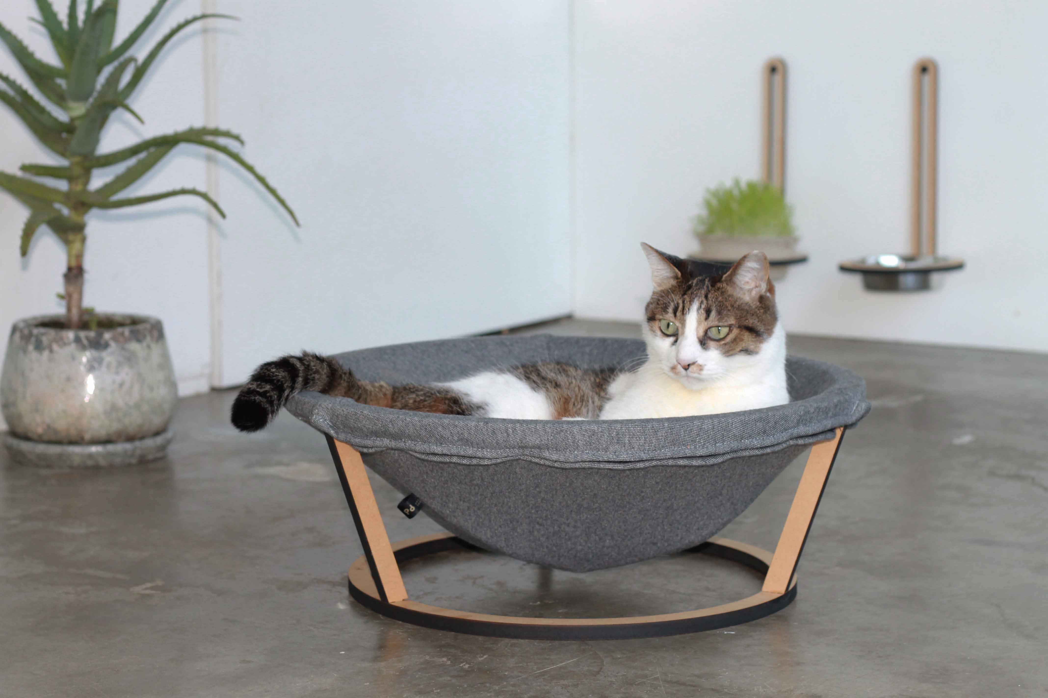 dogs by design the cat s meow of creature comforts the japan times dogs by design the cat s meow of creature comforts the japan times