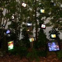 “Forest of Cage — Revelation of the Forest” (1993) Nam June Paik has the last laugh