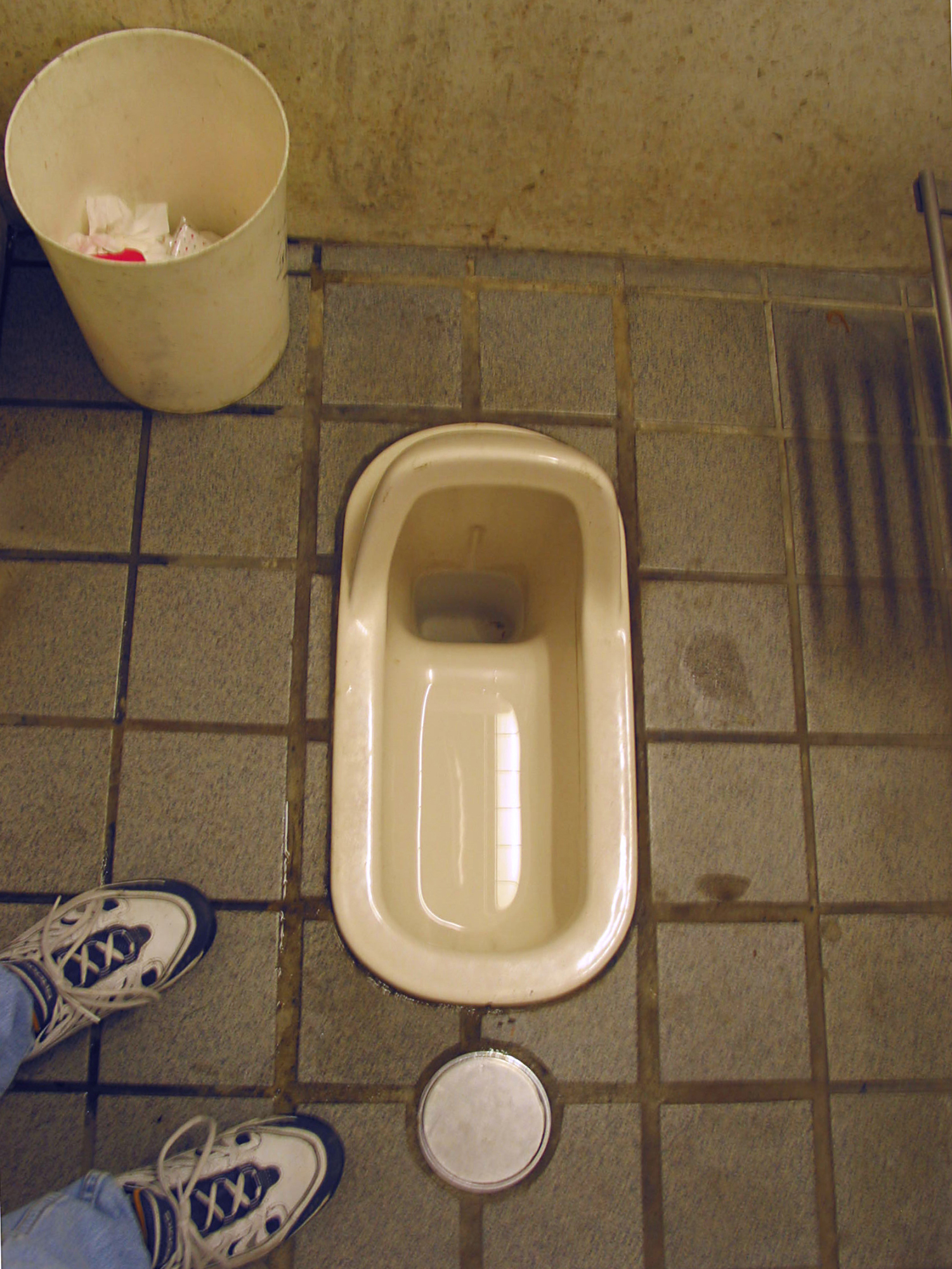 Majority of toilets in Japanese schools are squat toilets survey The