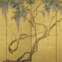 “Wisteria,” dated 1776; right side of a folding screen; pair of six panel screens, ink and color on gold-leafed paper Maruyama Okyo melded styles to pioneer a new path in art