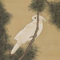 “Cockatoo on Pine Tree” hanging scroll, color on silk, 120.8 × 50.5 centimeters Kyoto museum celebrates the works of native son Ito Jakuchu