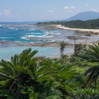 The island’s coastline strongly resembles parts of nearby Okinawa. 'Bull sumo' on the subtropical island of Tokunoshima