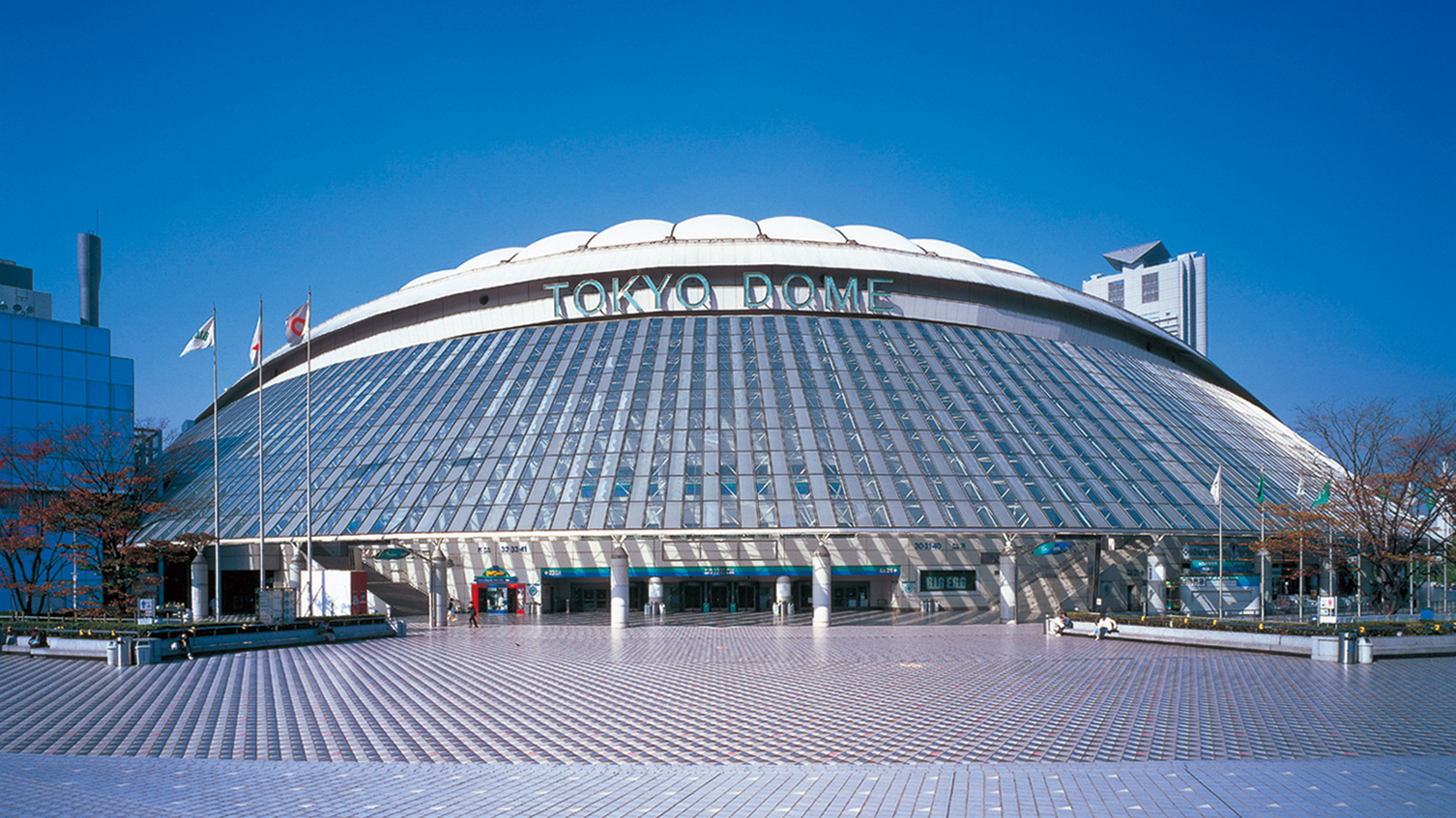 Tokyo Dome The Japan Times