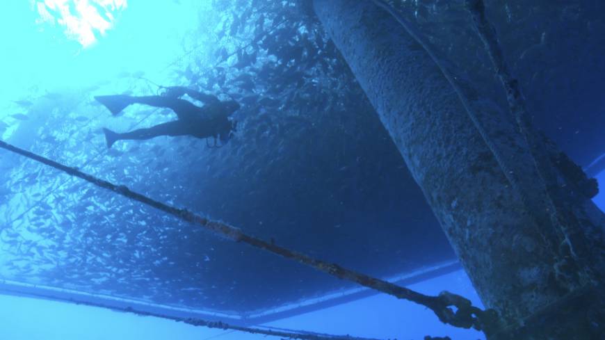 A diver checks a fish farm off Hawaii's Big Island near Kona.