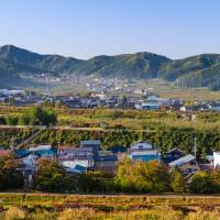 Yamanouchi in Nagano Prefecture. If people send ¥30,000 or more of their “furusato nozei” (hometown taxes) taxes to the village, they’ll receive 24 bottles of a locally brewed beer. Rural 'furusato nozei' beer, beef thank-yous costing urban Japan much-needed revenues