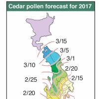 When pollen attacks! Experts reveal new approaches to combating hay fever