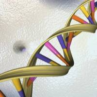 The CRISPR-Cas9 technique is revolutionizing the field of genetics the way word processors did for typewriters. Lengthy battle looms in U.S. over revoluntionary gene-editing patent rights