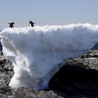 news science march donald trump antarctica arctic climate change global warming news science march donald trump antarctica arctic climate change global warming