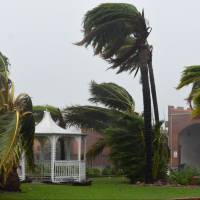 Trees are bent Tuesday by strong winds from Cyclone Debbie near Townsville, Australia. Thousands take shelter as 'screaming, howling' Cyclone Debbie whips north Australia