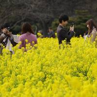 Visitors stop and take pictures at the Hamarikyu Gardens in Tokyo on Saturday. Japan ranked No. 51 in the World Happiness Report. Norway ranked world's happiest country; Japan places No. 51: U.N. report