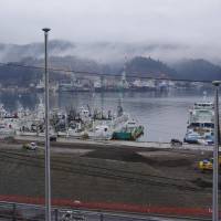 Fishing boats are moored at the main fishing port of Kesennuma, Miyagi Prefecture, late last month. The town’s bay area is still waiting for redevelopment six years after the 2011 quake-tsunami disaster. In tsunami-hit Kesennuma, fishing industry recovers but scars remain