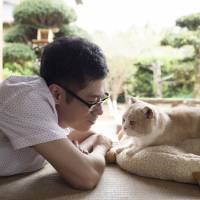 'Nekoatsume House': The cat's meow of Japanese comedy