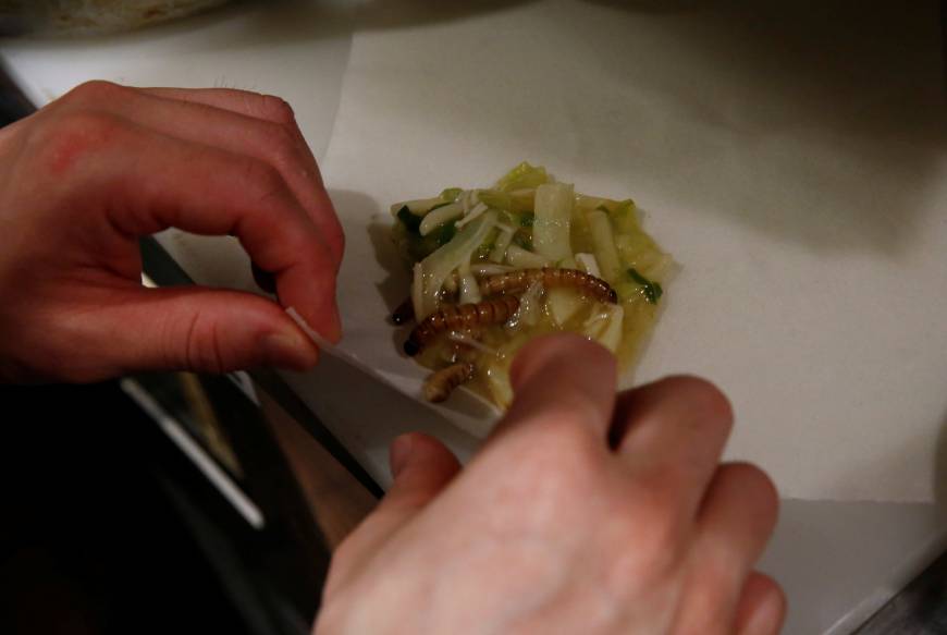 Cooked worms are added to the filling of a spring roll at Ramen Nagi.