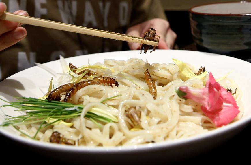 The main event on Ramen Nagi