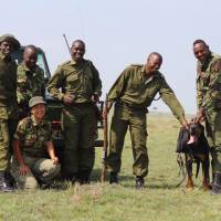 Life on the plains: Asuka Takita has been involved with an anti-poaching canine unit since 2008. Asuka Takita: Veterinarian embraces life on the African plains