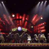 A performance by the Ringling Bros. and Barnum & Bailey Circus features the Desert Goddesses camels, in Providence, Rhode Island, May 4. 'Greatest Show on Earth' Ringling Bros. shuts down circus after 146-year run