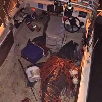 A 2.7-meter great white shark is seen after leaping into the boat of fisherman Terry Selwood in waters off Evans Head in Australia’s northern New South Wales state. Great white shark jumps into Australian fisherman's boat