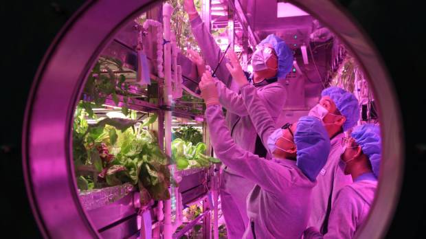 Volunteers work at the laboratory of the Yuegong-1 project in Beijing on Wednesday. China launches 'Lunar Palace' as a precursor for moon mission