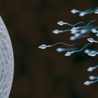 Research overseas has shown that semen quality has declined over the last several decades. Experts say Japan should examine male infertility amid falling birthrate