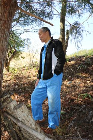 Nobuyoshi Itoh walks through a forest by his land in Iitate, Fukushima Prefecture.