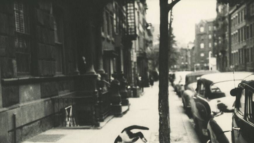 “Perry Street Cat” (c.1949) Photographer Saul Leiter: A Retrospective
