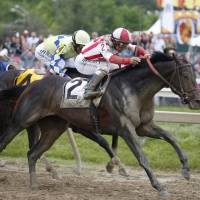 Javier Castellano guides Cloud Computing around turn four during the 142nd Preakness Stakes at Pimlico Race Course on Saturday. Cloud Computing makes late charge to overtake Classic Empire for Preakness victory