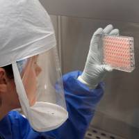 A Centers for Disease Control scientist measures the amount of H7N9 avian flu virus that was grown and harvested in a laboratory in 2013. Three mutations could make bird flu a pandemic illness, study says