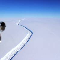 This handout picture received from NASA via Swansea University on Thursday shows an aerial view of the Larsen C ice rift in Antarctica. An expanse of ice roughly the size of Delaware is close to breaking off from the warming Antarctic ice shelf to form one of the world’s largest-ever icebergs, scientists said Thursday. Satellite data showed that the West Antarctic Larsen C shelf is poised to shed an ice block measuring about 5,000 sq. km (1,900 sq. miles). Climate change effect seen as Antarctic shelf close to calving one of biggest icebergs ever