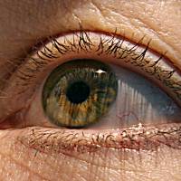 An experimental treatment may significantly slow the progression of the blindness-causing disorder macular degeneration, in what would mark the first therapy of its kind, research showed Wednesday. There are currently no available treatments to stymie macular degeneration, the leading cause of blindness in people aged 60 and older. New therapy shows promise in slowing progression of macular degeneration