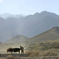 An Afghan farmer works on his field on the outskirts of the village of Madakhel in northeastern Afghanistan, near the mountain region of Tora Bora, which is seen in the background, on Dec. 28, 2001. IS claims capture of bin Laden's Afghan hideout of Tora Bora
