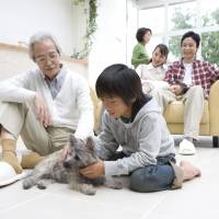 About 20 percent of Japan’s seniors support their children or grandchildren financially, a government survey says. 20% of elderly still providing financial support to offspring: survey