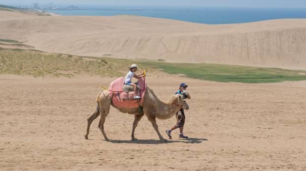 Not a mirage: A desert fantasia on the sand dunes in Tottori Prefecture. Drifting through the storied sand dunes of Tottori