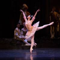 Misa Kuranaga in “Sleeping Beauty.” Misa Kuranaga: Dancing up a storm in Boston