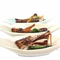 Food bugs: Insects such as locusts could become an alternative food source as Japan’s traditional ones become scarce. What will we eat when all the food runs out?