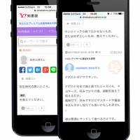 Asking questions to the Japanese internet