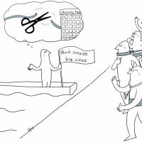 Vested interests behind dearth of rural doctors