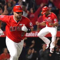 Albert Pujols rounds the bases after hitting the 600th home run of his career while teammate Ben Revere celebrates on Saturday night in Anaheim, California. Pujols joins 600-homer club with grand slam