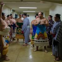 Osunaarashi (centre right) from Egypt prepares for his first ring-entering ceremony on July 6, 2013, in Nagoya. Nagoya Basho contenders looking to stay cool in tournament known for upsetting the odds