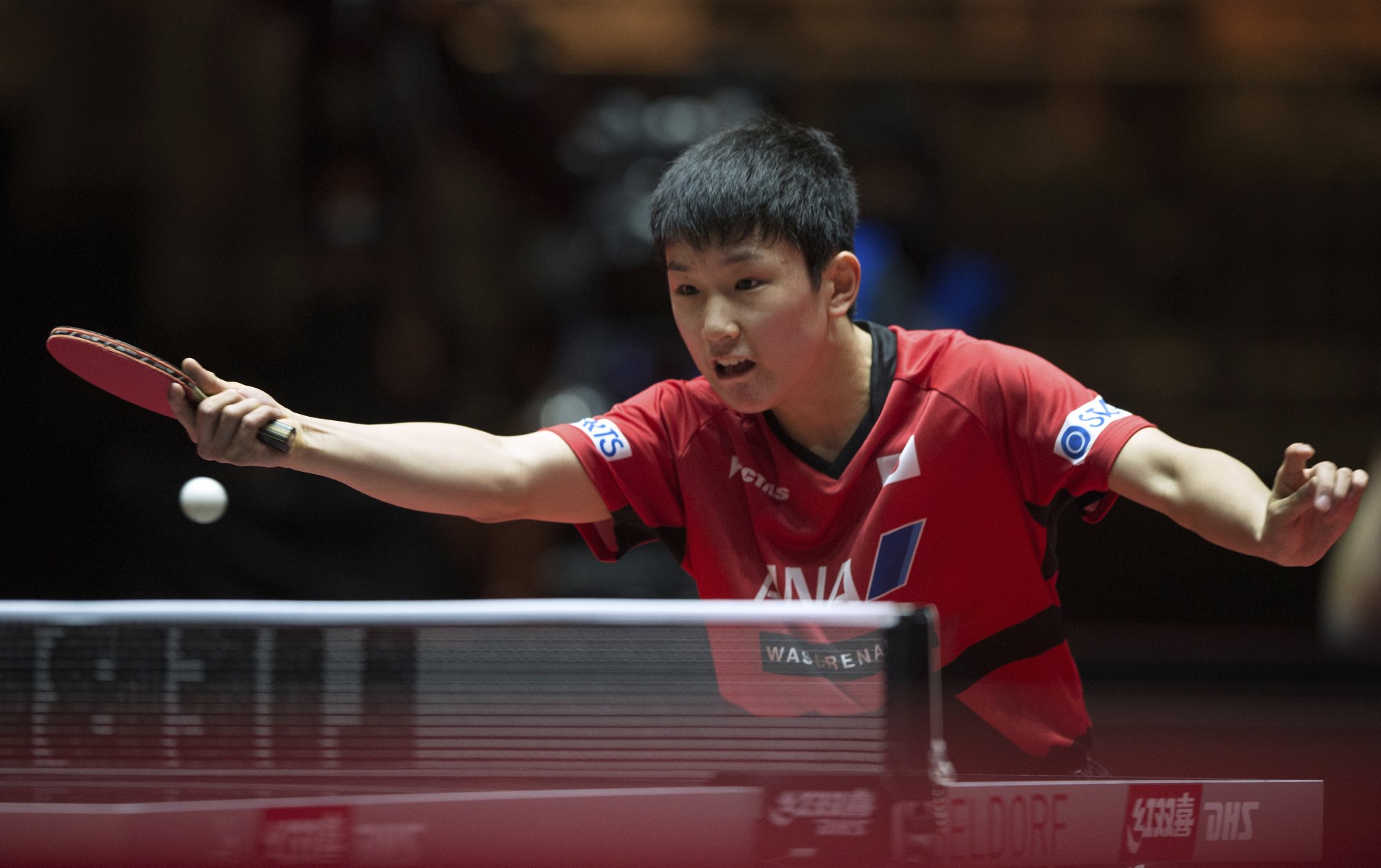 probable Destino Encantador Harimoto stuns Mizutani at table tennis worlds - The Japan Times