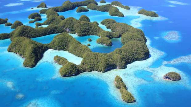 Rock Islands Southern Lagoon Palau boasts incredible maritime diversity
