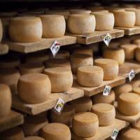 The bilateral economic partnership agreement between the European Union and Japan could hit local dairy farmers and wineries hard. EU free trade deal likely to hurt Japan's dairy farmers, wineries