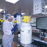 In this 2015 photo, provided by Novartis Pharmaceuticals Corp., human T cells belonging to cancer patients arrive at Novartis Pharmaceuticals Corp.’s Morris Plains, New Jersey, facility. This laboratory is where the T cells of cancer patients are processed and turned into super cells as part of a new gene therapy-based cancer treatment Novartis is a part of. FDA panel OKs novel leukemia treatment that may be first U.S. gene therapy