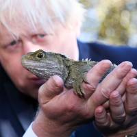 British Foreign Secretary Boris Johnson holds a tuatara lizard during his visit to the Zealandia wildlife sanctuary in Wellington on Tuesday. In New Zealand, Boris Johnson parries queries about prime ministerial bid