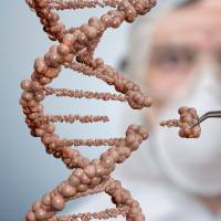 A gene-editing technique tested by a team of U.S. researchers holds great potential to avoid many genetic diseases. In U.S. first, scientists edit genes of human embryos
