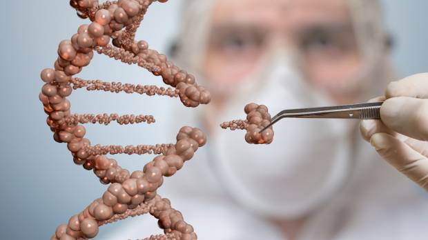 A gene-editing technique tested by a team of U.S. researchers holds great potential to avoid many genetic diseases. In U.S. first, scientists edit genes of human embryos
