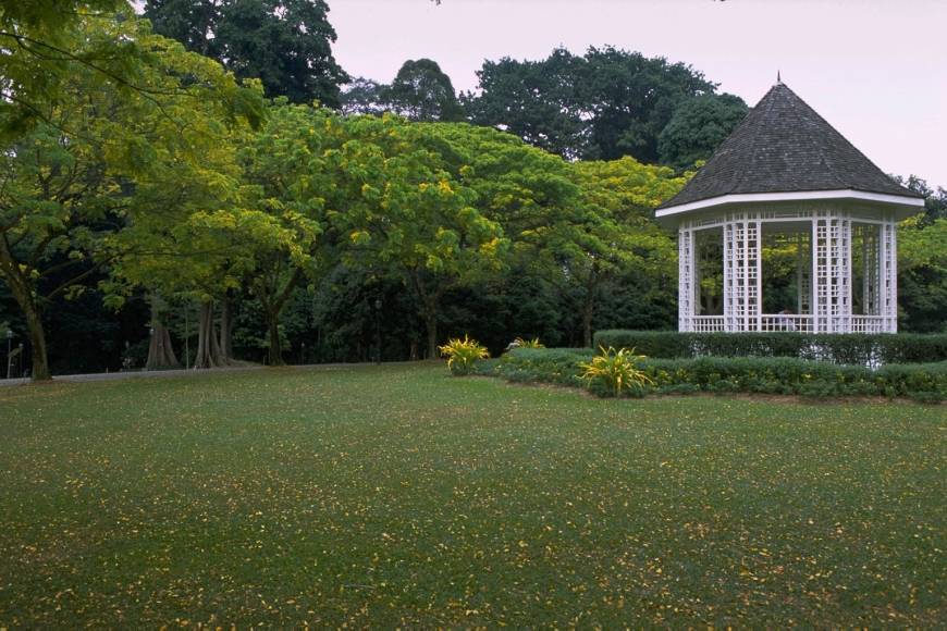 Singapore Botanical Gardens, a UNESCO World Heritage site