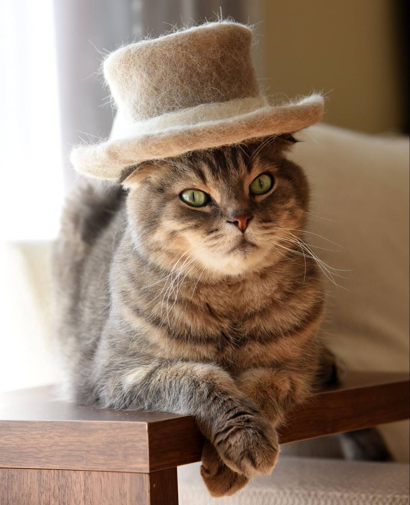 Japanese Student In Fuzzy Cat Ear Hat w/ Comme Ca Du Mode Coat